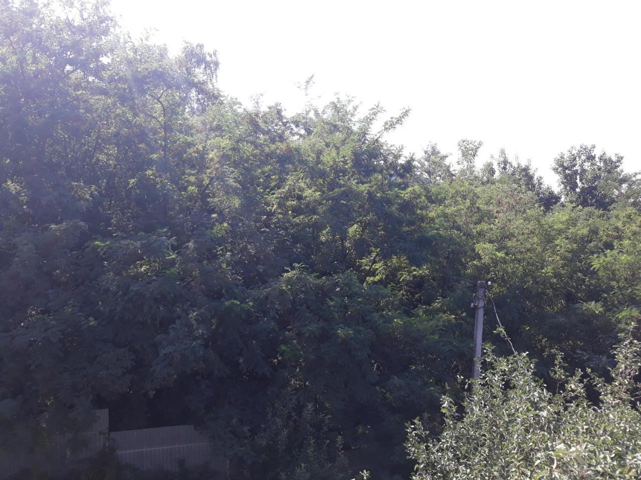 Котедж "Лісовий Затишок" Glubokoye Esterno foto