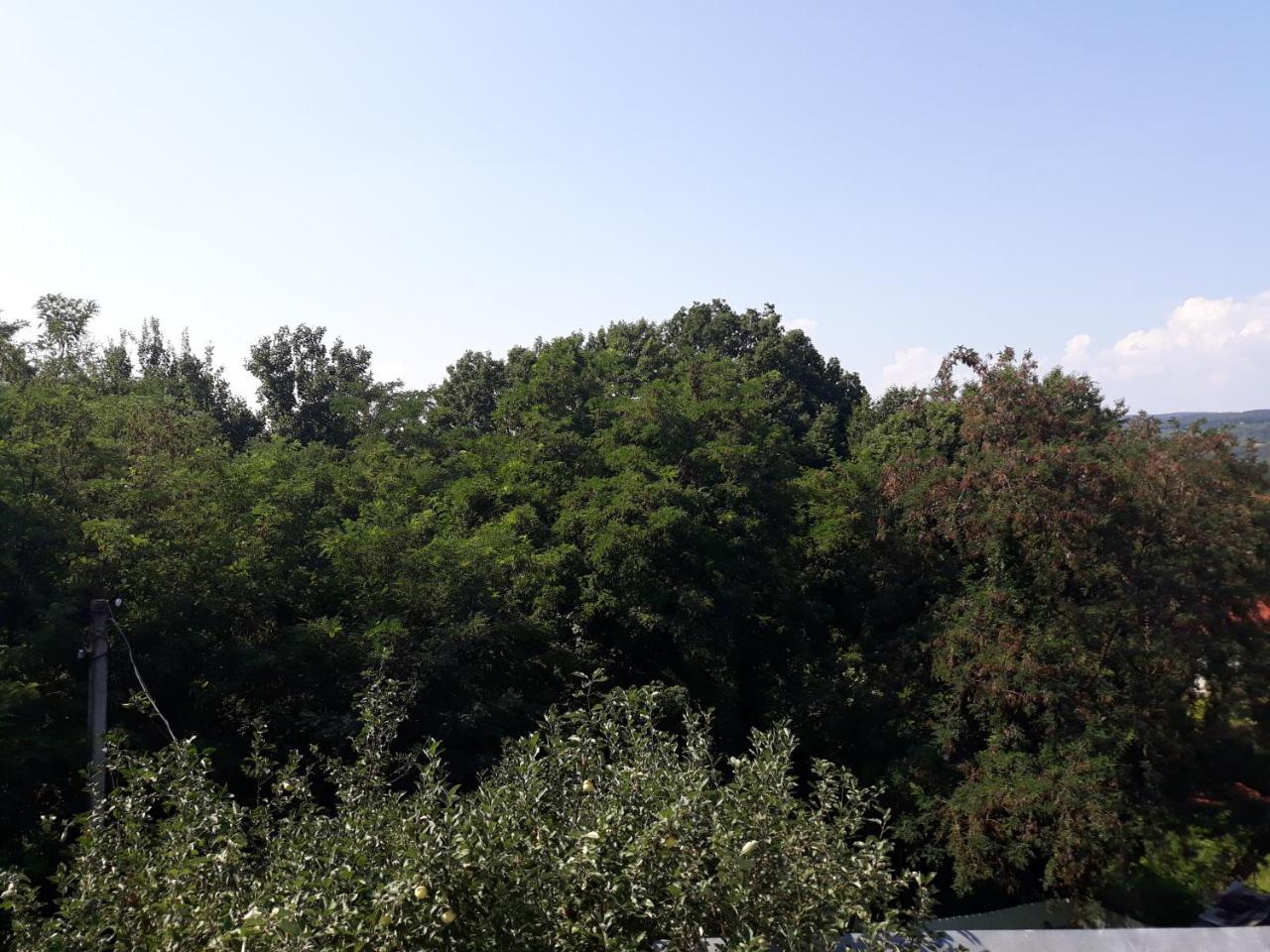 Котедж "Лісовий Затишок" Glubokoye Esterno foto